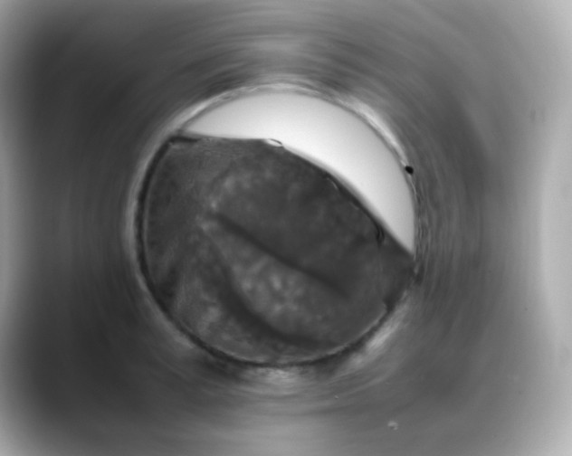 X0000088400995200706051132