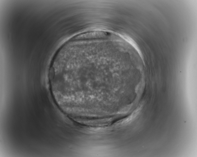 X0000088400997200706051132