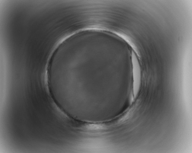 X0000088400998200706051132