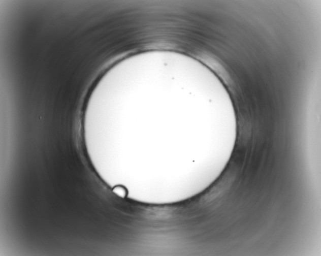 X0000088401000200706051132