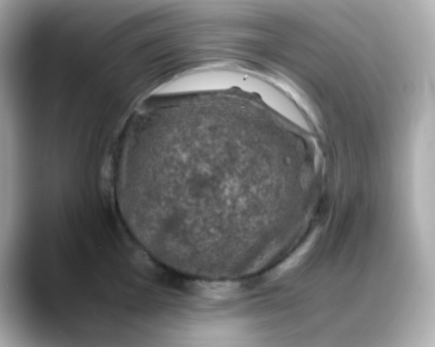 X0000088401001200706051132