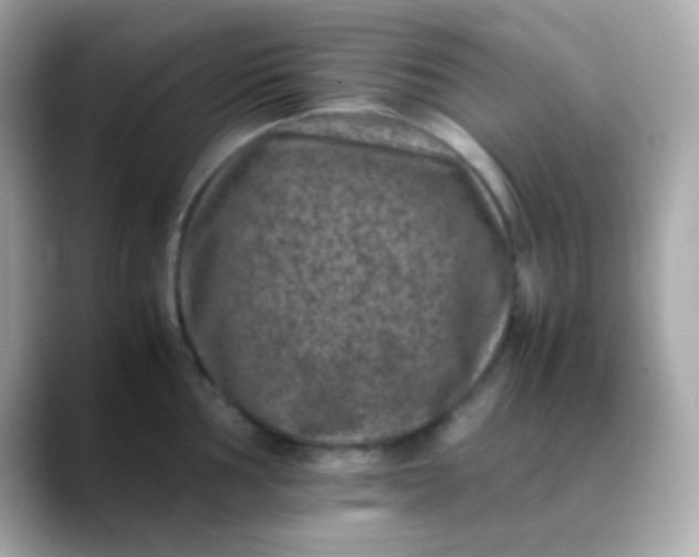 X0000088401002200706051132