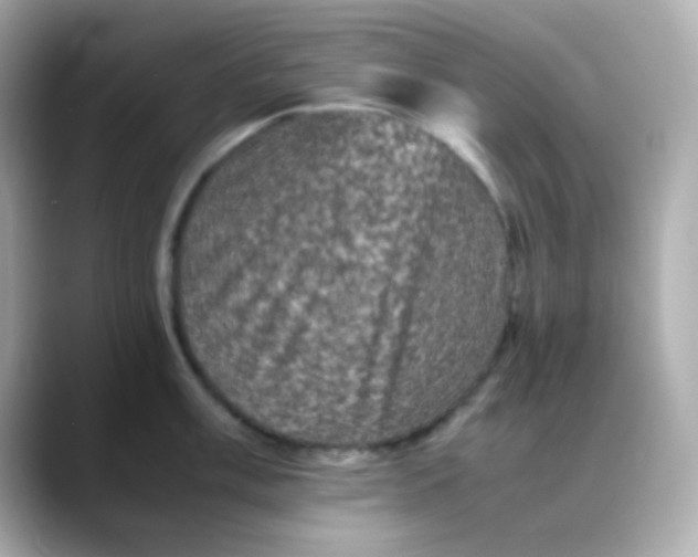 X0000088401003200706051132