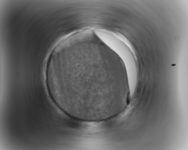 X0000088401005200706051132