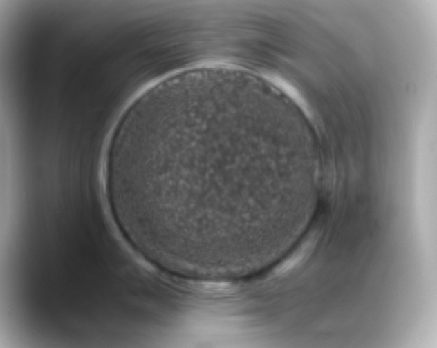 X0000088401007200706051132