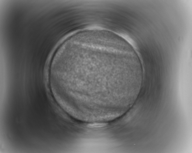 X0000088401008200706051132