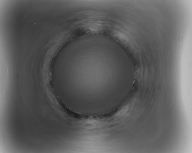 X0000088401009200706051132