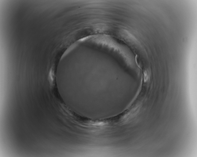 X0000088401011200706051132