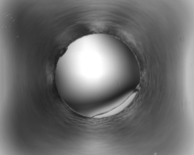 X0000088401012200706051132