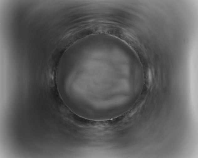 X0000088401013200706051132