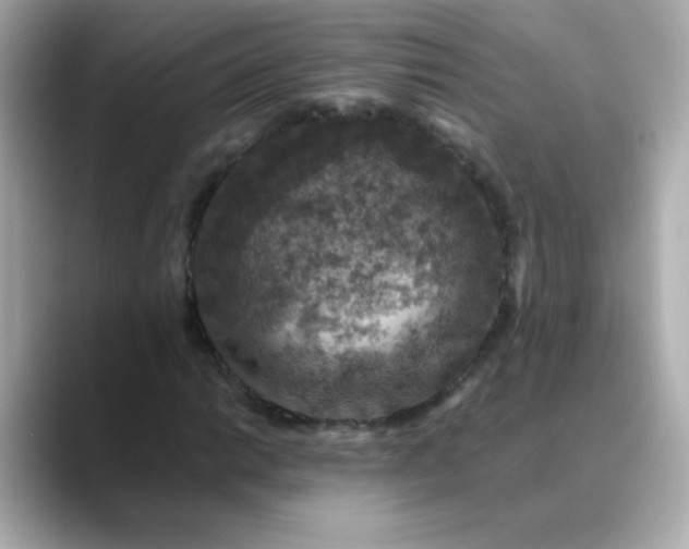 X0000088401014200706051132