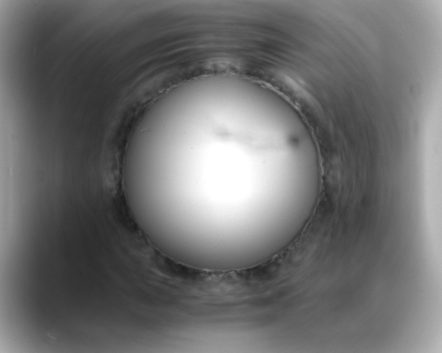 X0000088401015200706051132