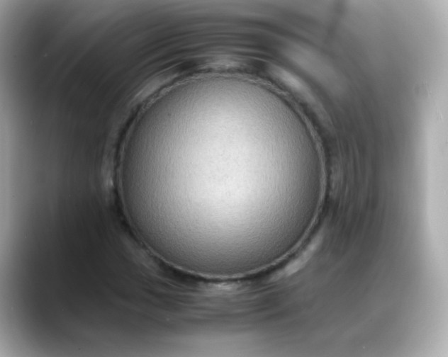 X0000088401017200706051132