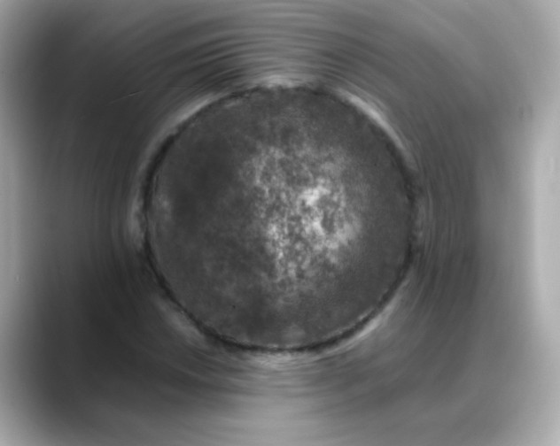 X0000088401018200706051132