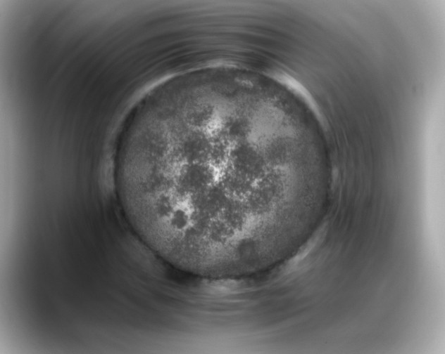 X0000088401019200706051132