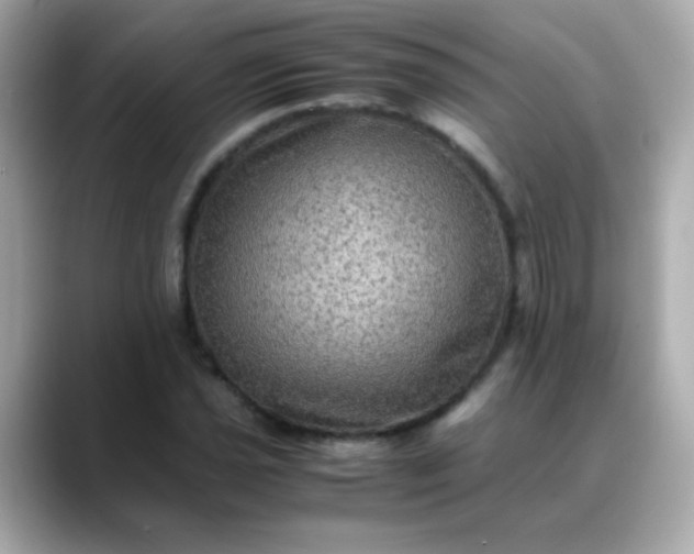 X0000088401021200706051132