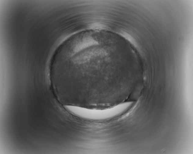 X0000088401022200706051132