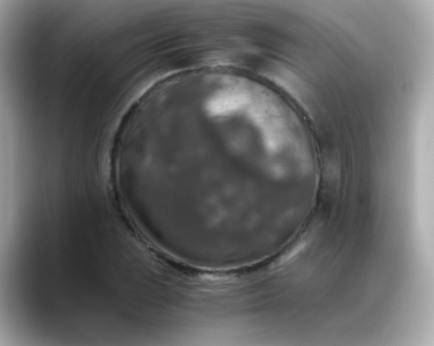 X0000088401023200706051132