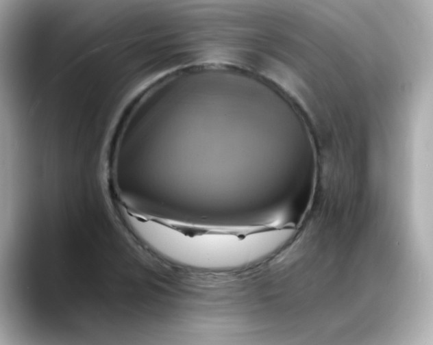 X0000088401024200706051132