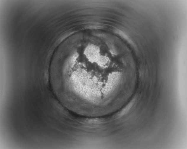 X0000088401025200706051132