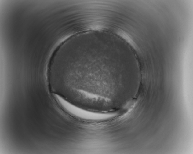 X0000088401026200706051132