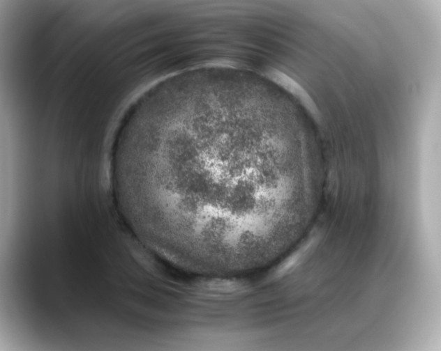 X0000088401027200706051132