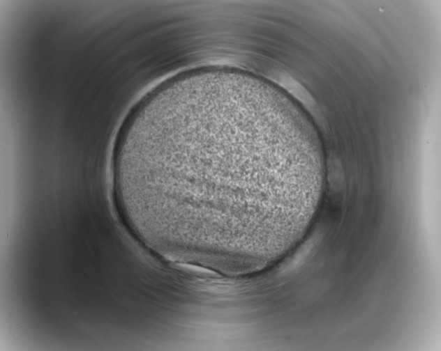 X0000088401028200706051132