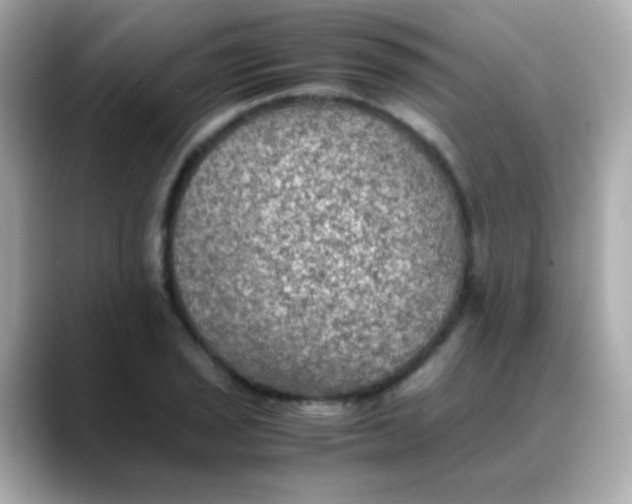 X0000088401029200706051132