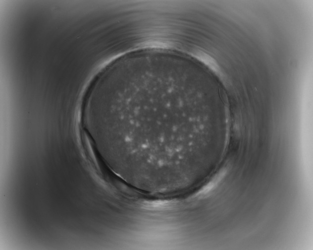 X0000088401030200706051132