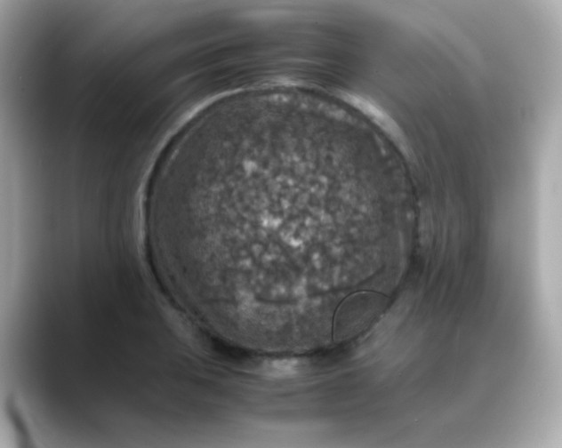 X0000088401031200706051132