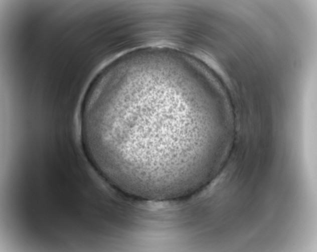 X0000088401032200706051132