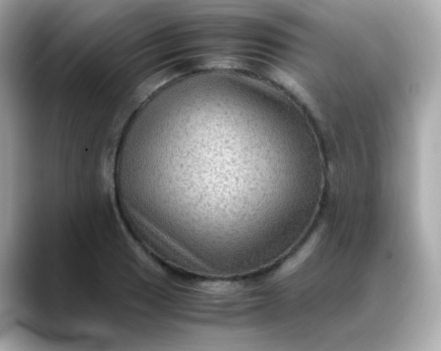 X0000088401033200706051132