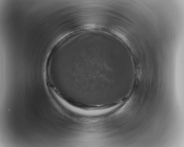 X0000088401034200706051132