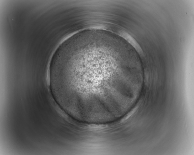 X0000088401036200706051132