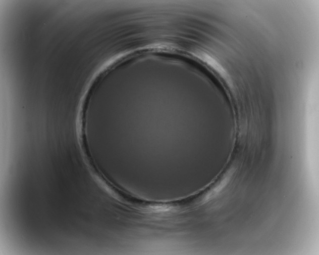 X0000088401037200706051132