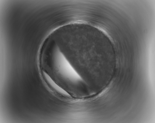 X0000088401038200706051132