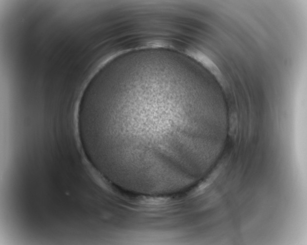 X0000088401039200706051132