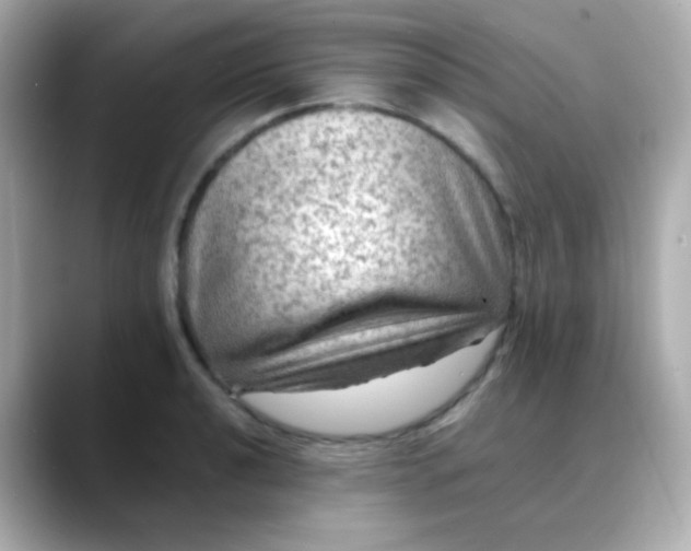 X0000088401040200706051132