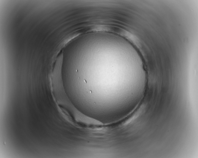 X0000088401041200706051132