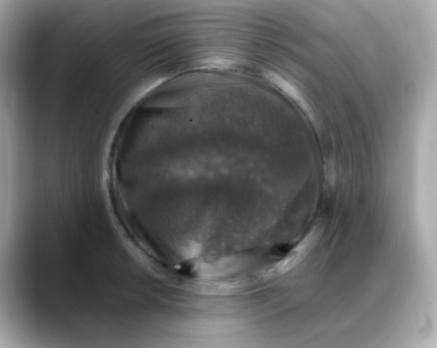 X0000088401042200706051132