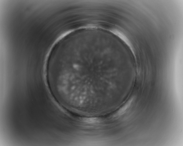 X0000088401045200706051132