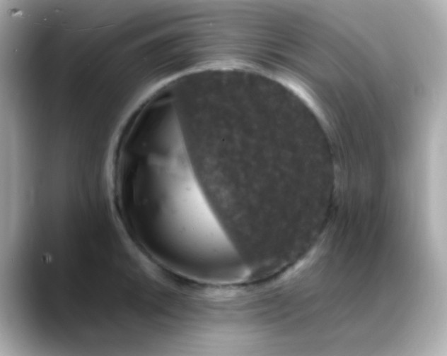 X0000088401046200706051132