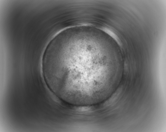 X0000088401047200706051132