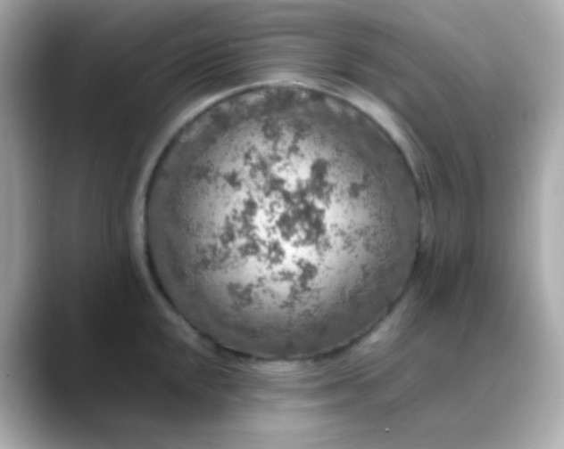 X0000088401048200706051132