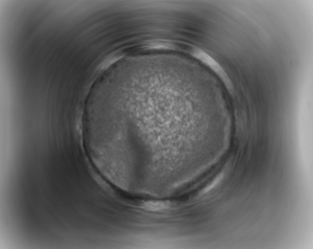 X0000088401049200706051132