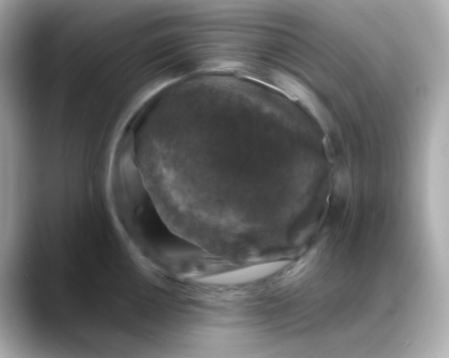 X0000088401050200706051132