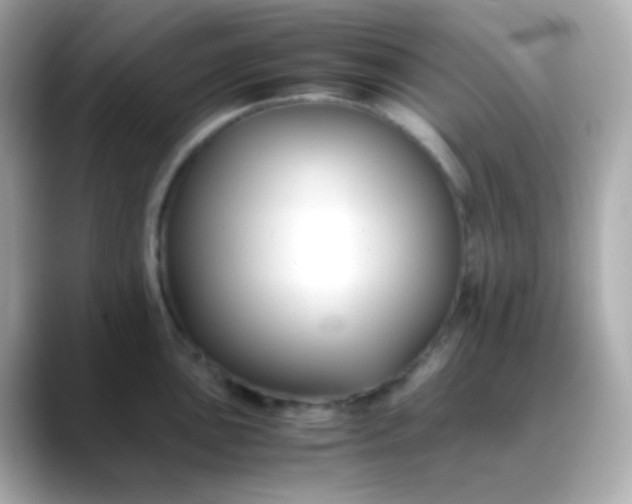 X0000088401051200706051132