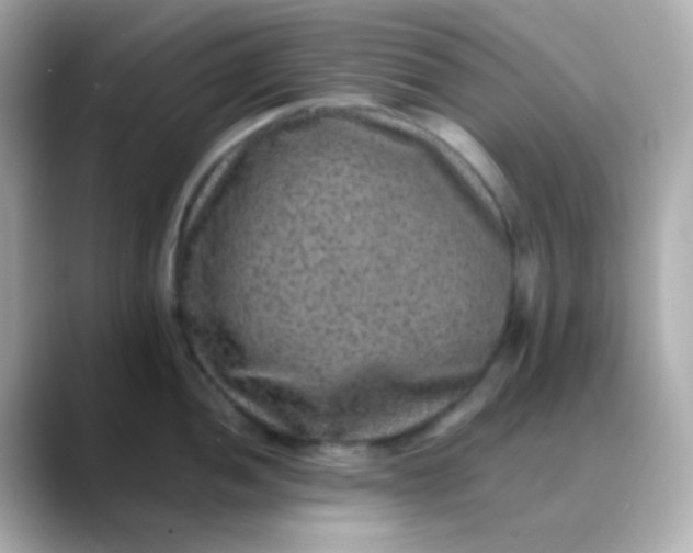 X0000088401052200706051132