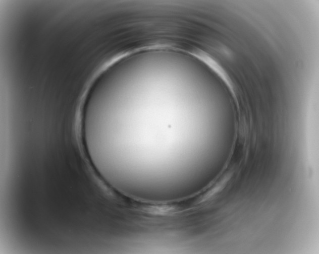 X0000088401053200706051132