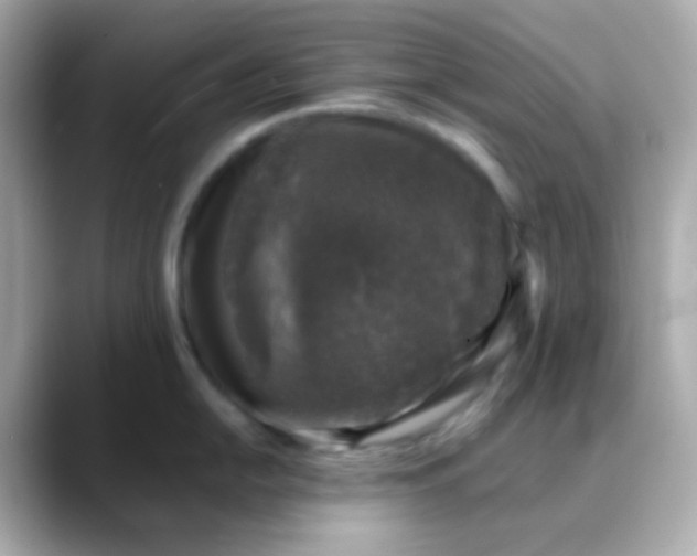 X0000088401054200706051132